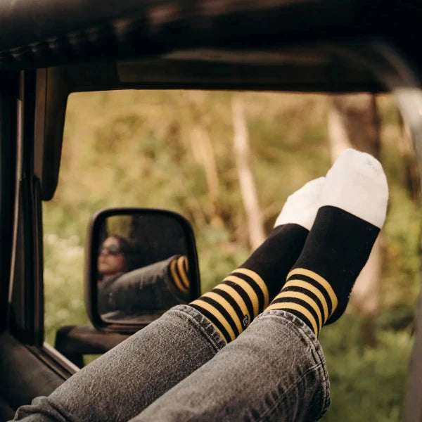 maya-sox (1)
