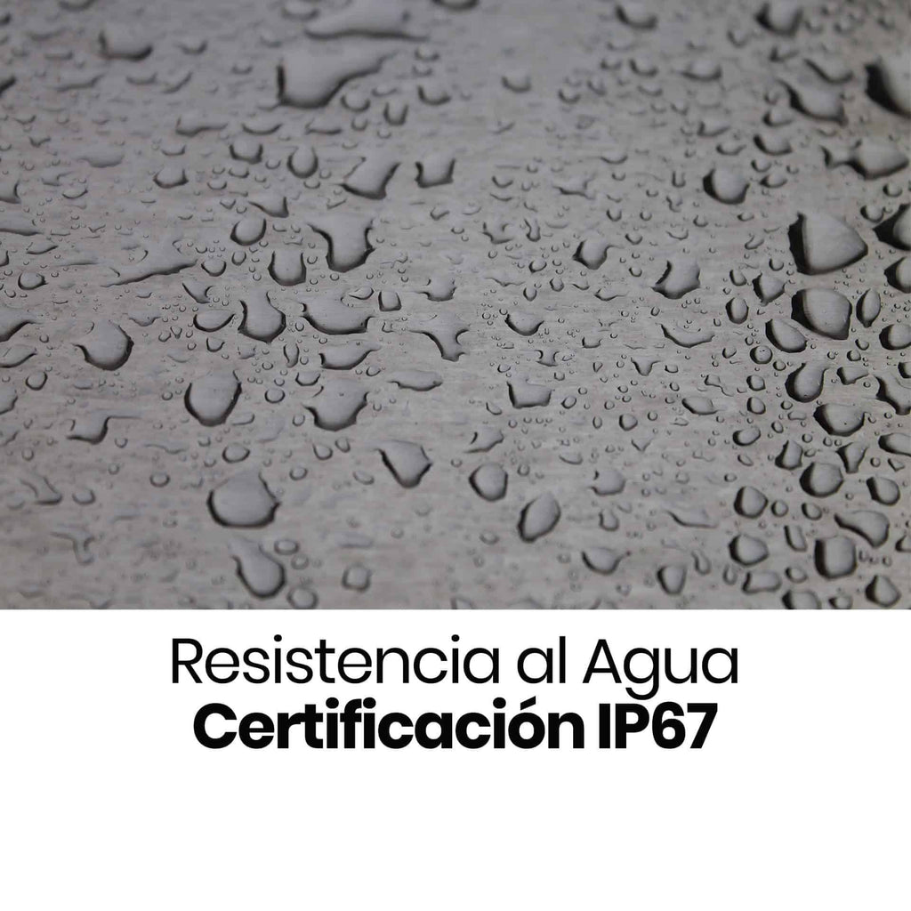 FoxComm_Motos_M2_extra1